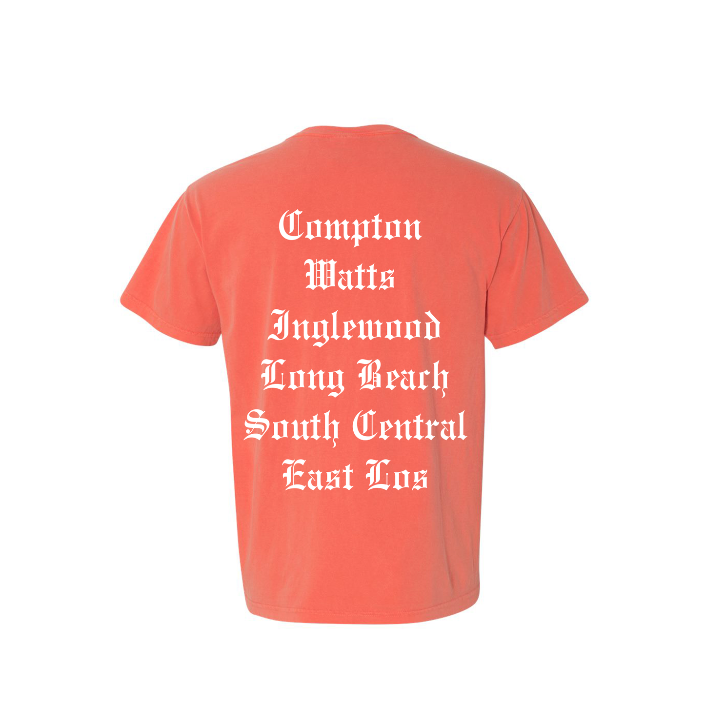 The Land Los Angeles OG Tour Tee in Salmon
